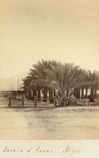 1880_jardin.jpg